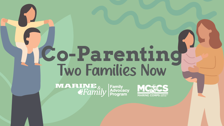 Co-Parenting: Two Families Now